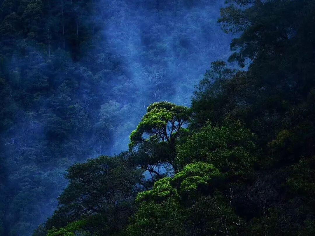 标致汽车找钥匙