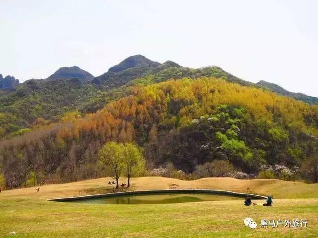 拯救巧虎3