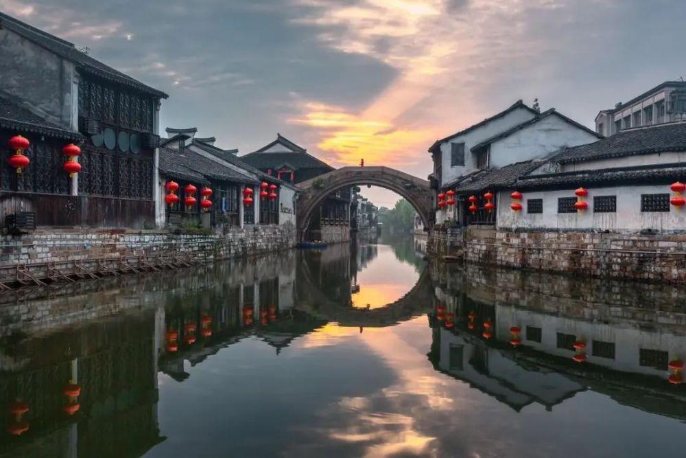 动物帮帮忙保卫家园